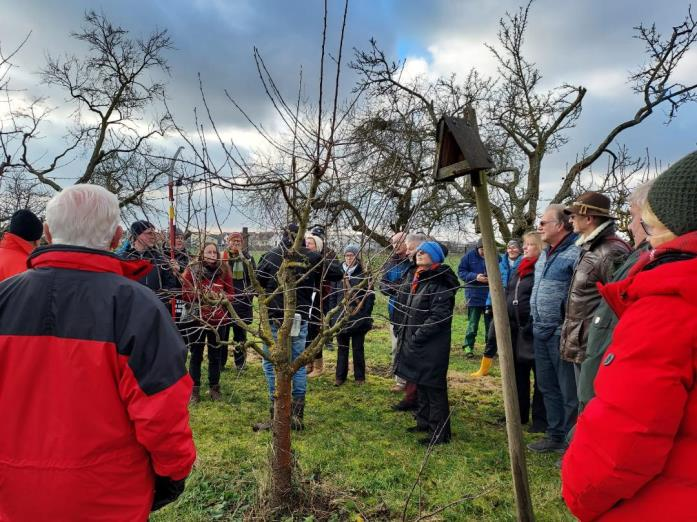 Winterschnittkurs