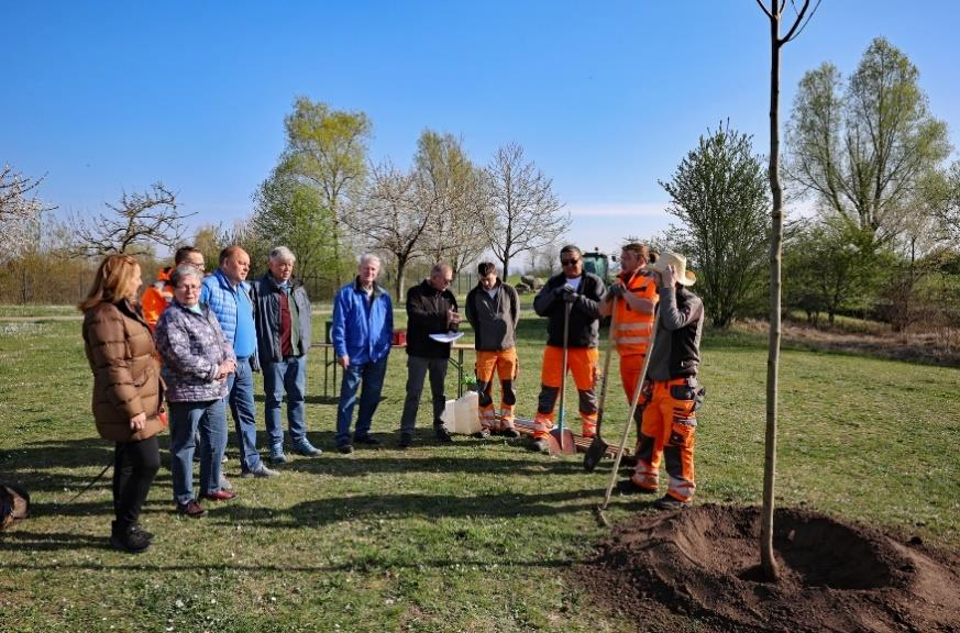 100 Jahre OGV - Baumpflanzaktion