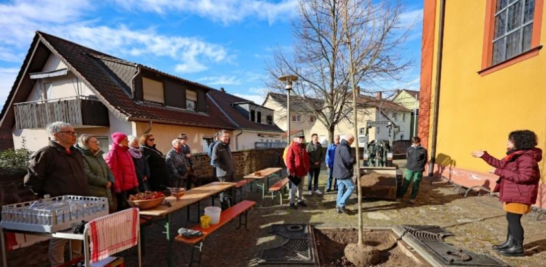 Baumpflanzung einer Winterlinde bei der Katholischen Kirche
