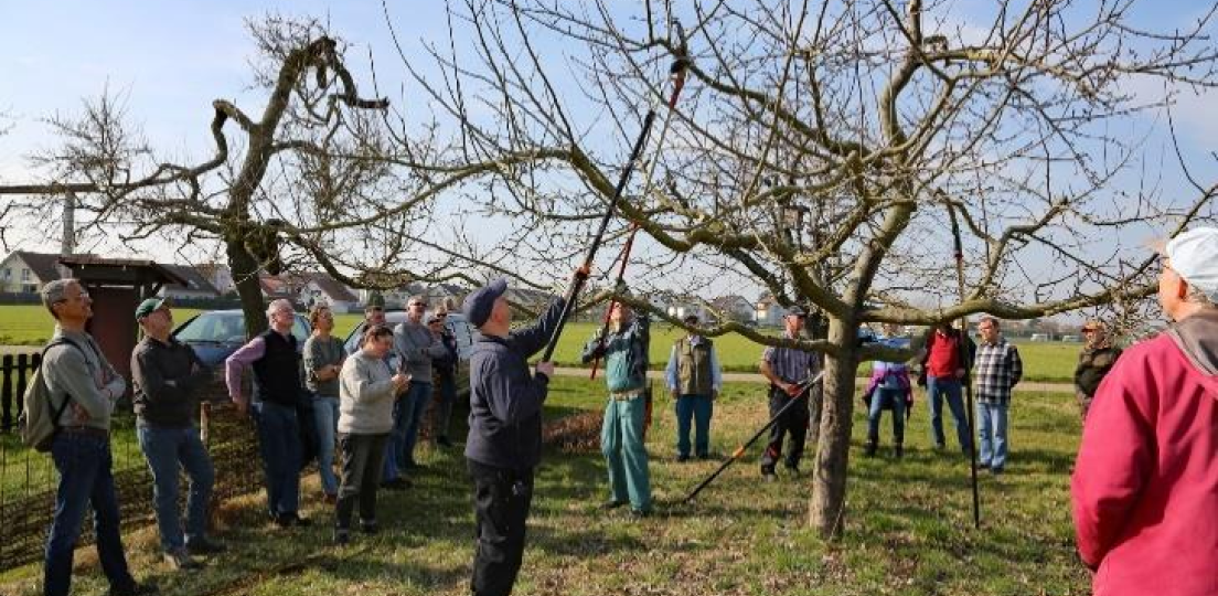 Schnittkurs auf der Vogelweide